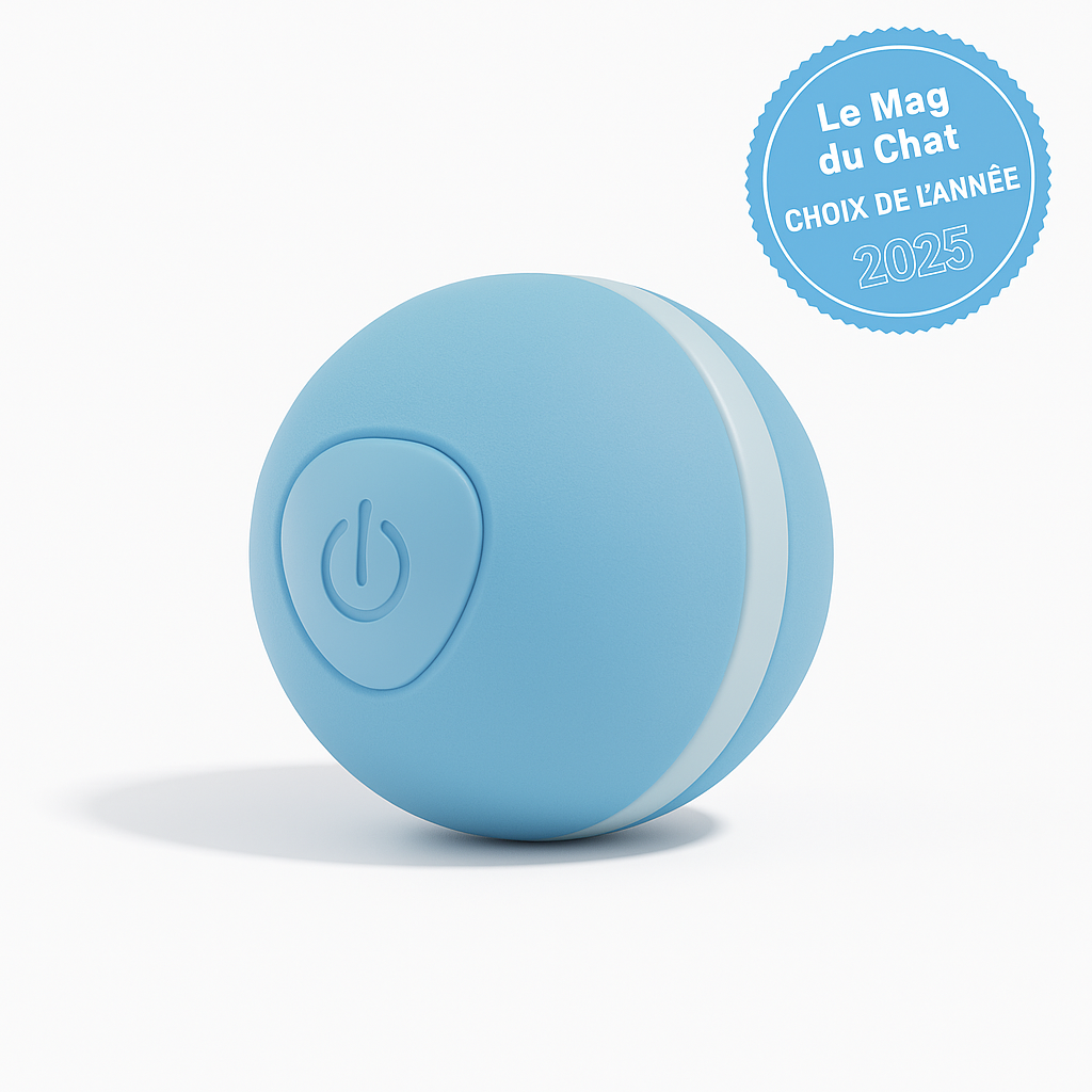 Balle Interactive LED