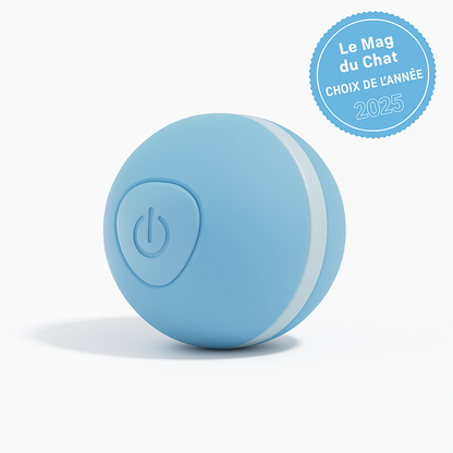 Balle Interactive LED